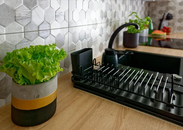 Przytulny Z Ogródkiem W Doskonałej Lokalizacji Fair Apartament Wrocław